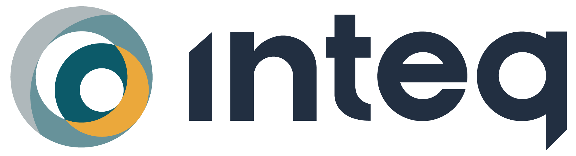 INTEQ logo